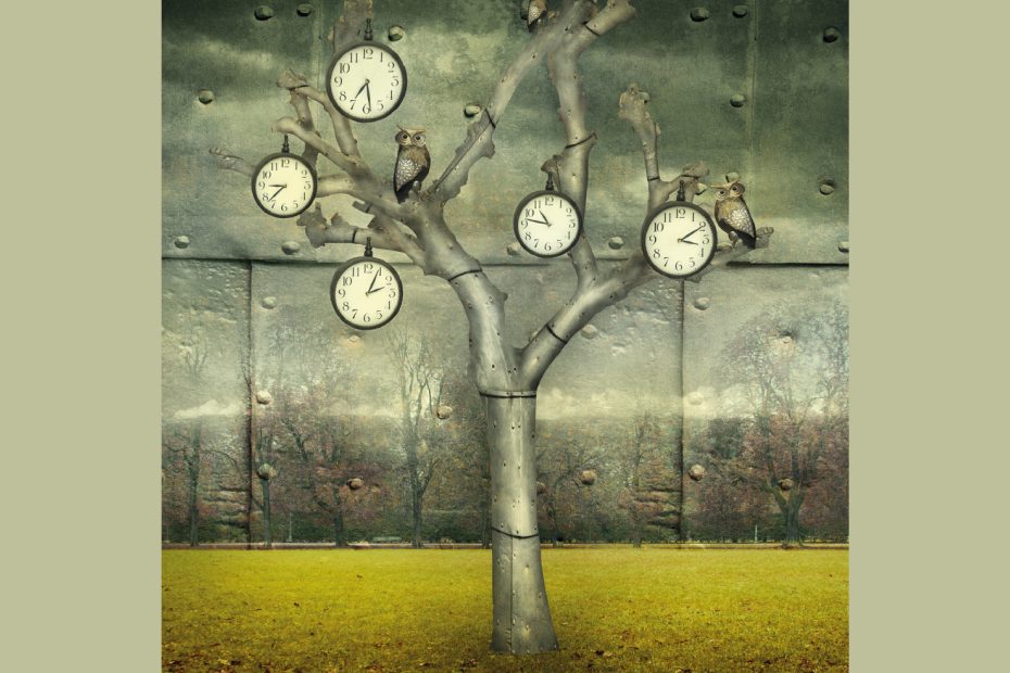 copertina libro Tempo