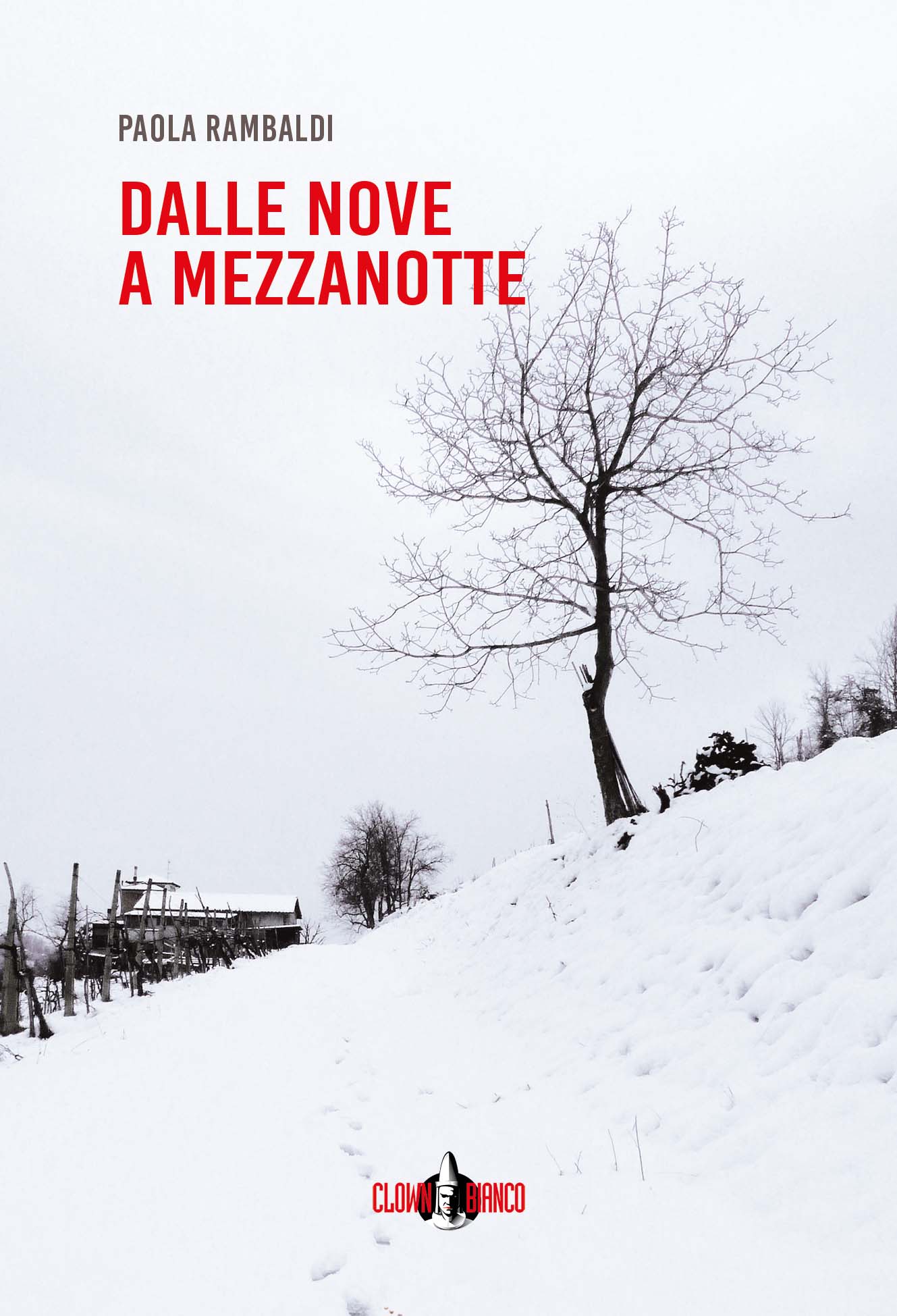 copertina del romanzo Dalle nove a mezzanotte di paola rambaldi