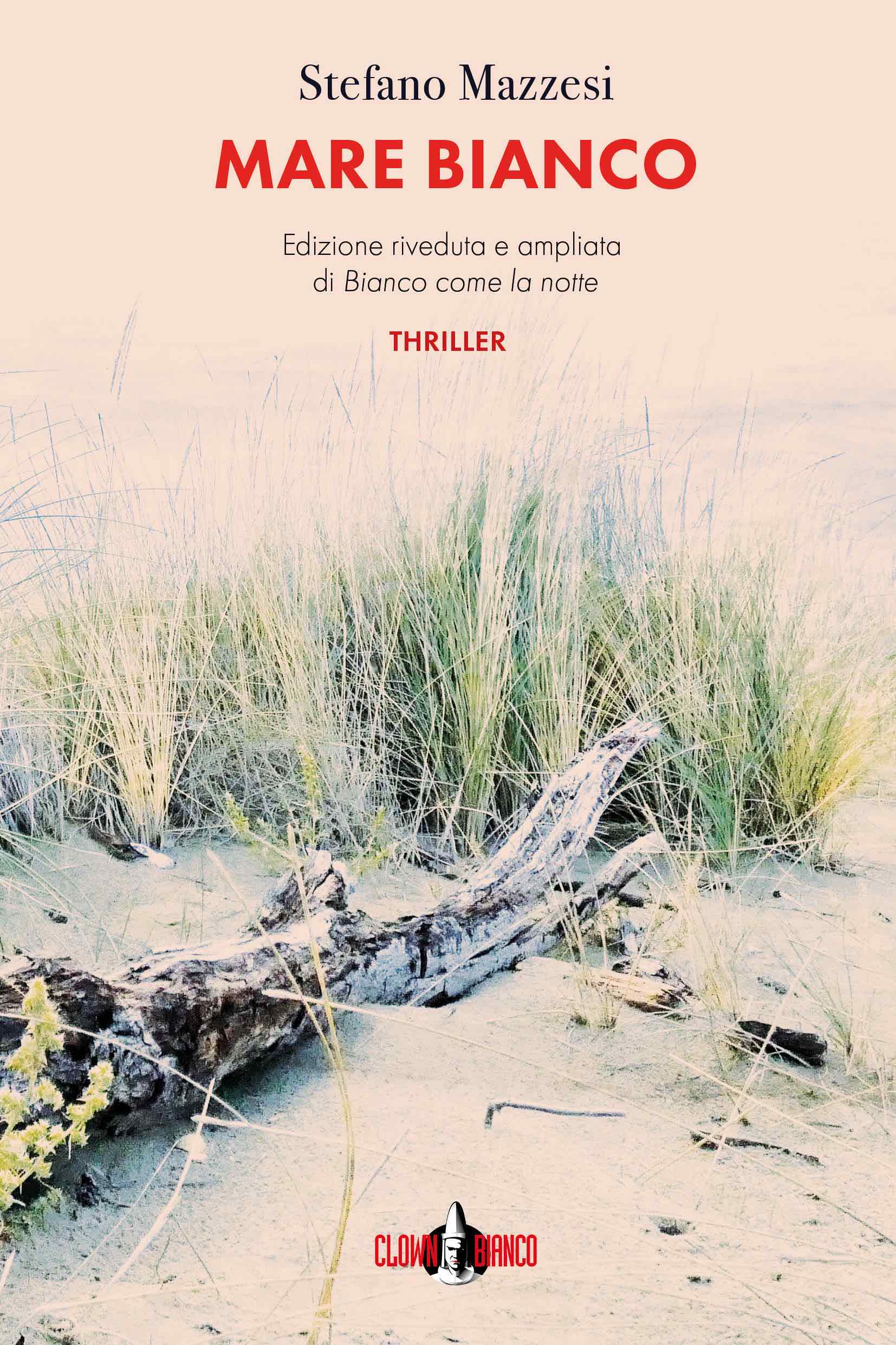 copertina del romanzo Mare bianco di Stefano Mazzesi