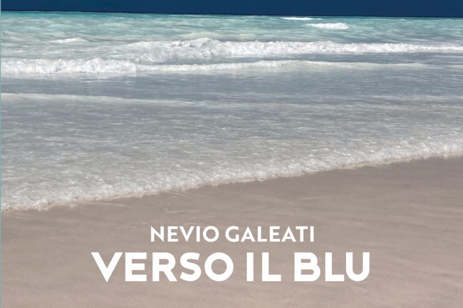 "Verso il blu" raccoglie tredici storie, tutte diverse tra loro, che ci portano in un mondo che è allo stesso tempo concreto e fantastico, cinico e sognante, e, nonostante le brutture e le cattiverie, pieno di speranza.