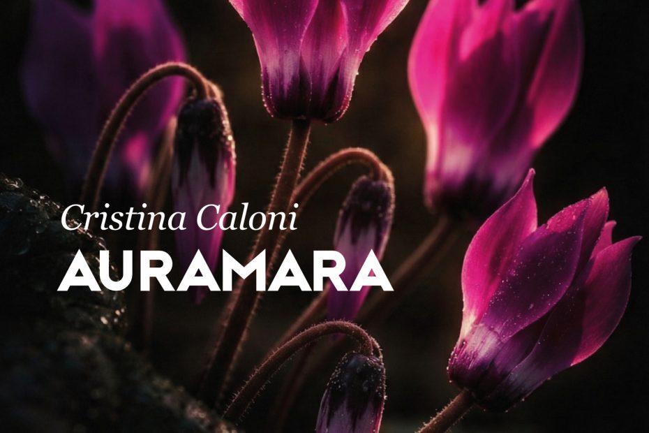 Auramara di Cristina Caloni è un romanzo noir che intreccia un brutale fatto di cronaca nera degli anni Ottanta con i "misteri d'Italia", legando l'omicidio di una giovane studentessa ai vertici del potere finanziario, politico e religioso.