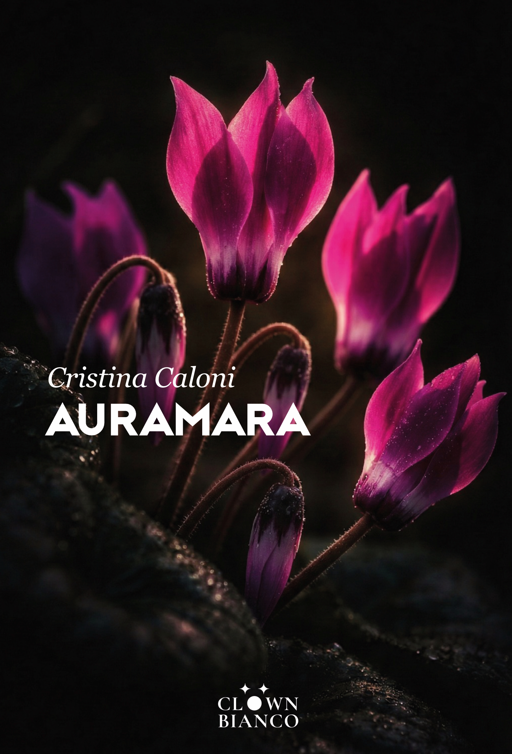 Auramara di Cristina Caloni è un romanzo noir che intreccia un brutale fatto di cronaca nera degli anni Ottanta con i "misteri d'Italia", legando l'omicidio di una giovane studentessa ai vertici del potere finanziario, politico e religioso.