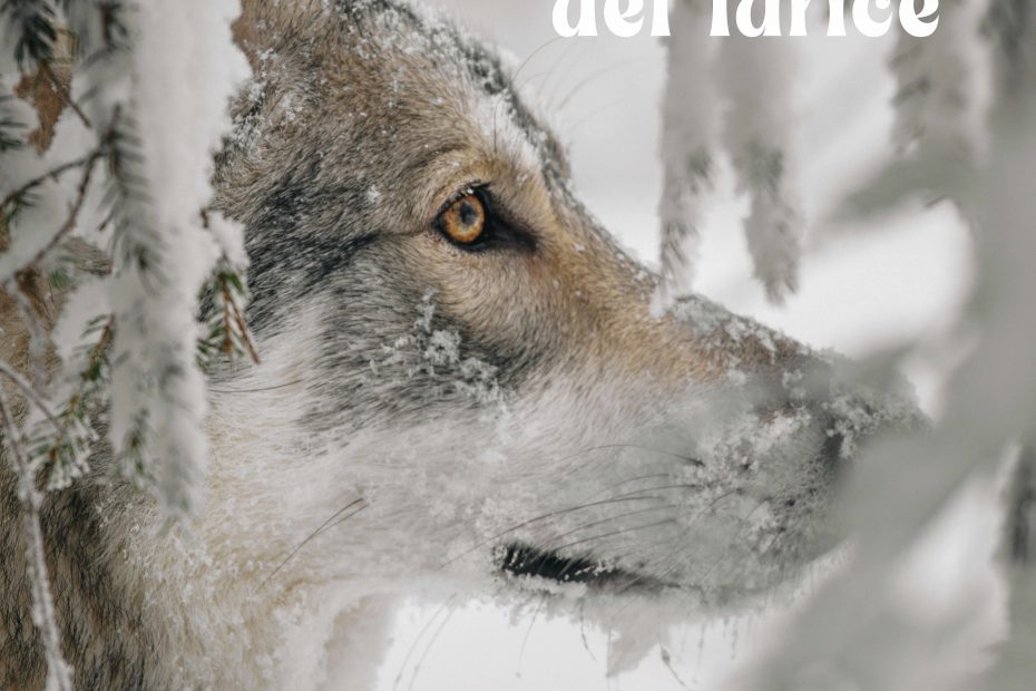 La cicatrice del larice