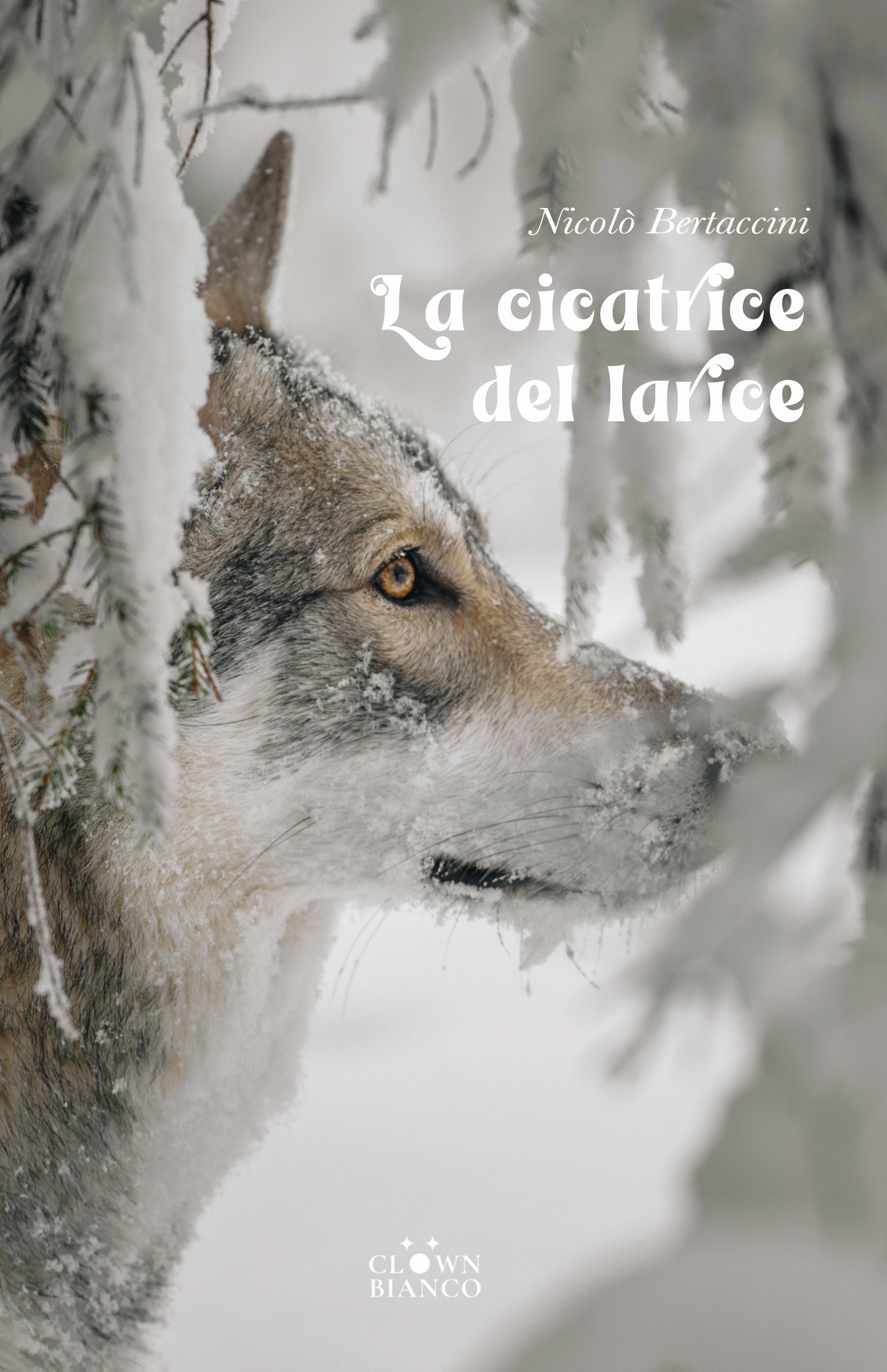 La cicatrice del larice